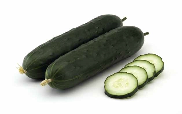 Cucumber CORINTO Treated (Enza) slicing (1000/pk)