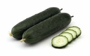 Cucumber CORINTO Treated (Enza) slicing (100/pk)