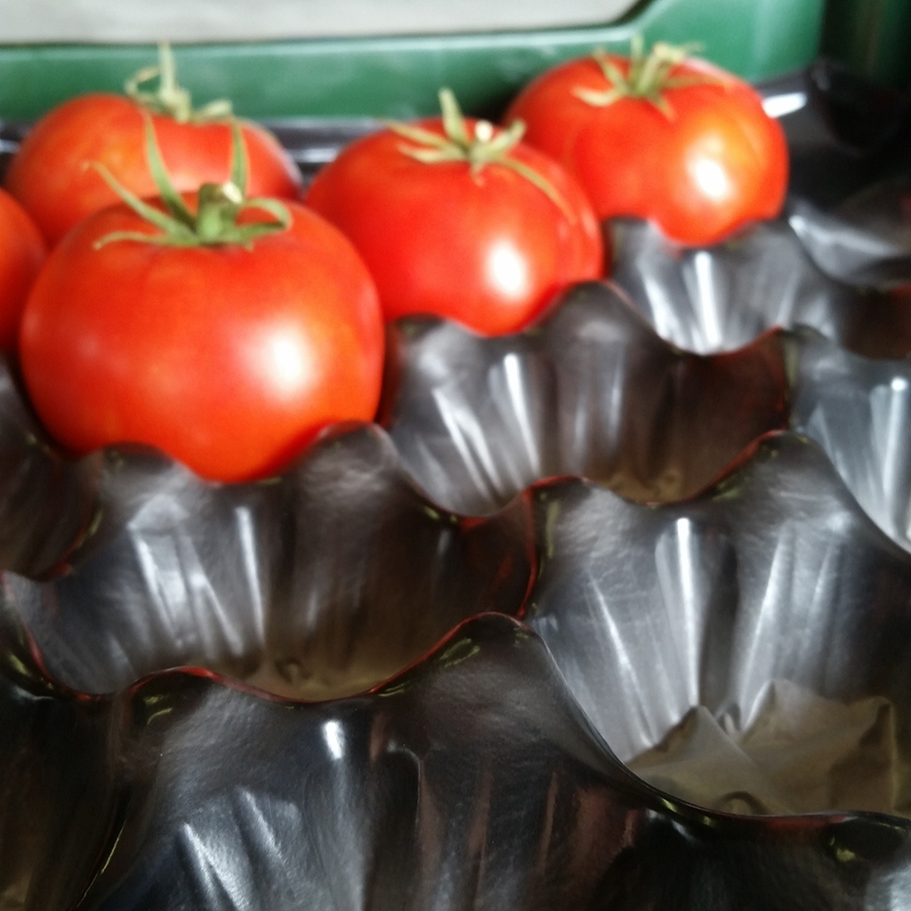Fruit trays #16 black 30g (tomatoes 425g/15.3oz) (500/cs)