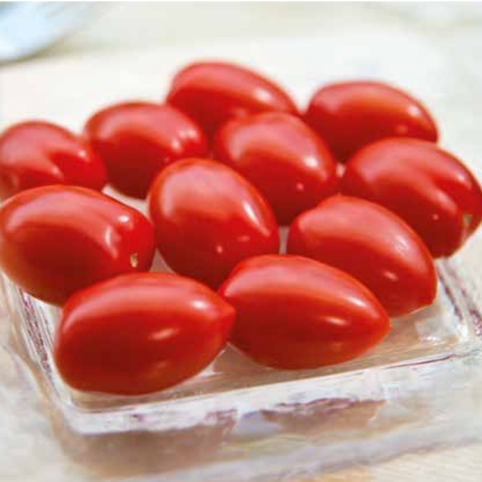 tomate-bellacio-c79-non-traitee
