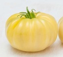 tomate-marvori-dj549-non-traitee