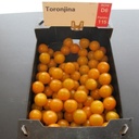 tomate-toronjina-biologique