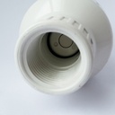 1 1/2 in. FPT white PVC swing check valve