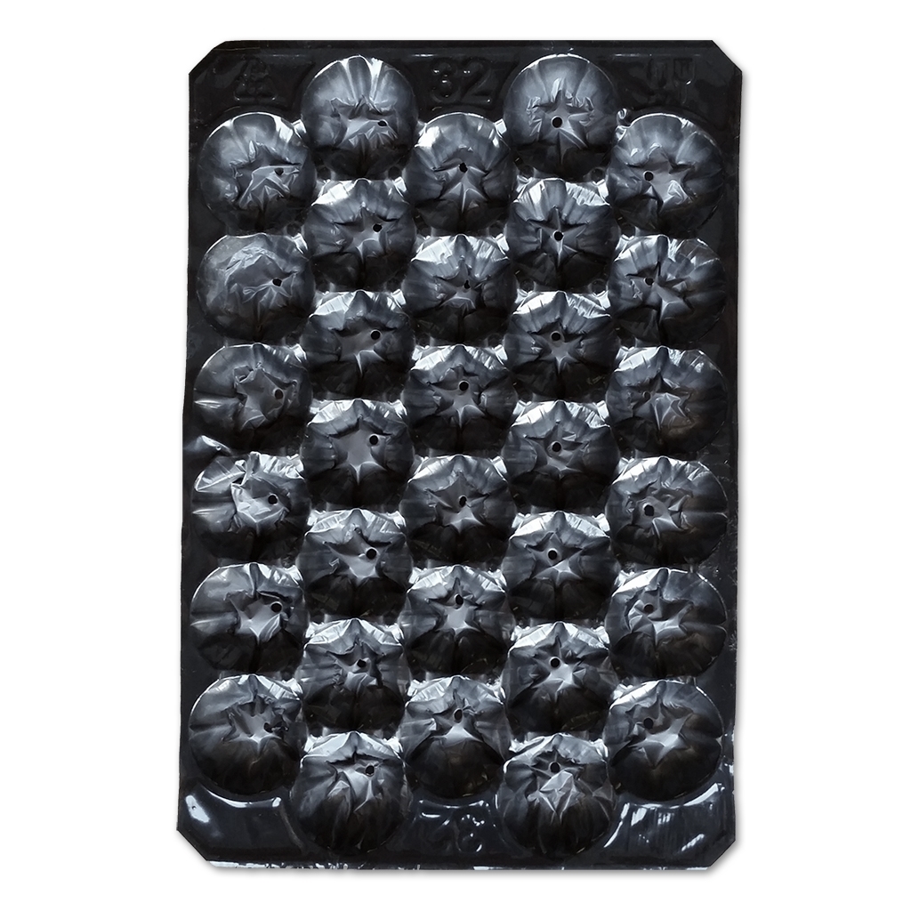 Alvéoles #32 noires 30g 6,8kg/15lbs (210g/7,4oz) 700/boîte
