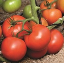 ​​Tomato SKYWAY 687 organic (Vit) beef red determinate (1000/pk)