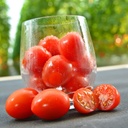 Tomato APETICIO untreated (Gaut) cherry red (100/pk)