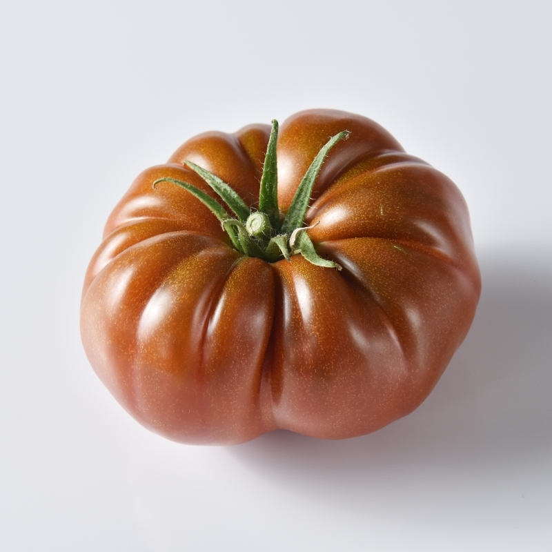 Sem. Tomate MARBRUNI N-T (Gaut) spécialité couleur chocolat (100/pqt)
