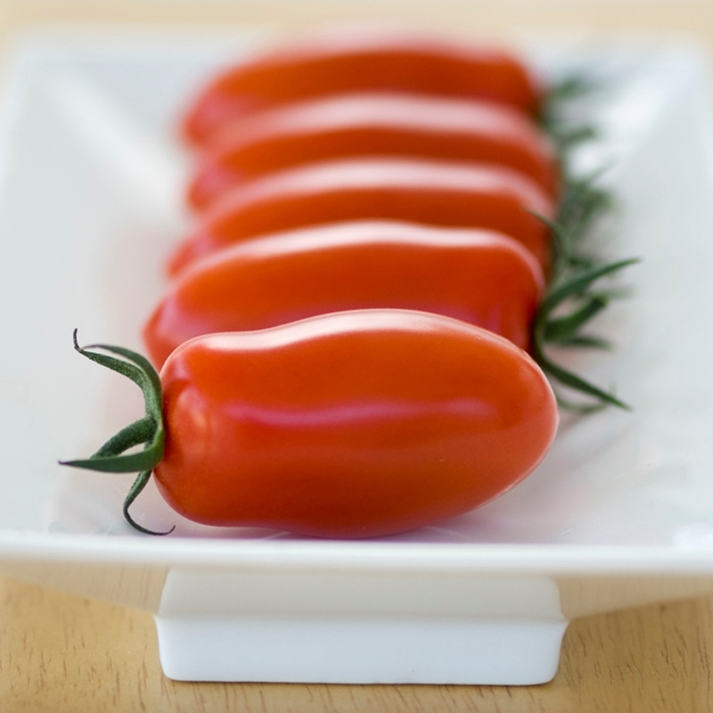 Tomate DELICASSI sin tratar (Gaut) italiano rojo marzano (100/pk)