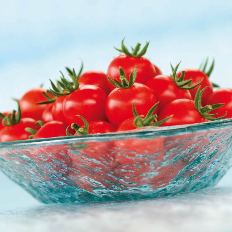 Tomate TASTYNO sin tratar (Gaut) cherry rojo (100/pk)