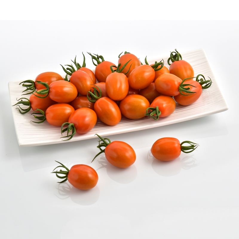 Tomate RAZOLO 'C86' sin tratar (Gaut) grape naranja (100/pk)