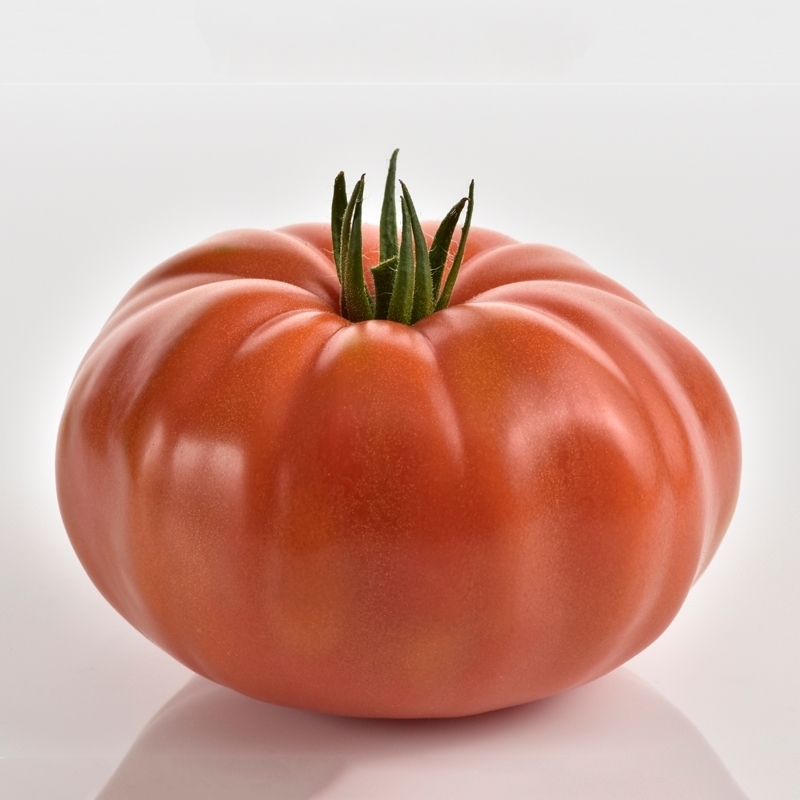 Sem. Tomate MARSILIA Bio (Gaut) marmande rouge  (100/pqt)