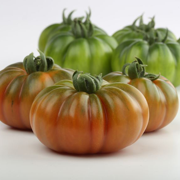Tomate MARSALATO orgánico (Vit) heirloom / marmande rojo (100/pk)