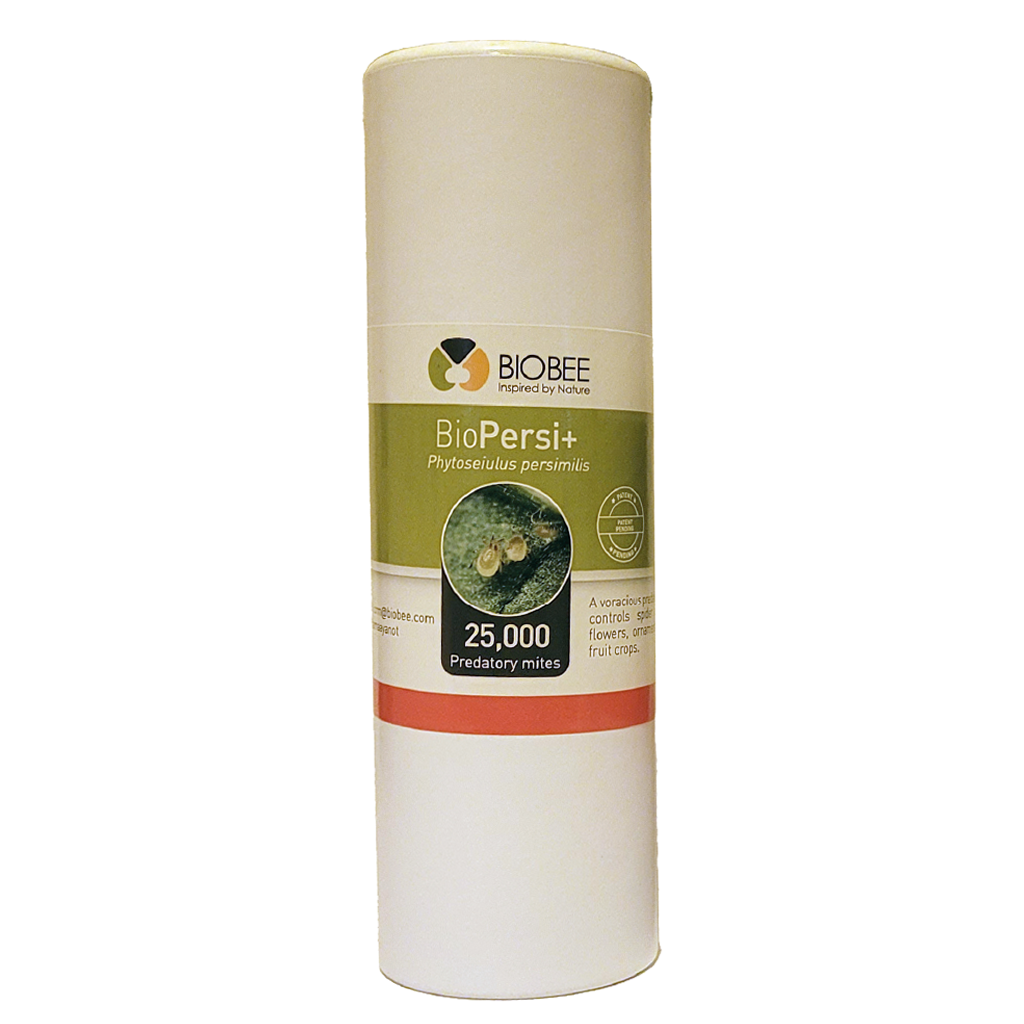 BioBee BioPersi+ -  Phytoseiulus persimilis + - acariens prédateurs