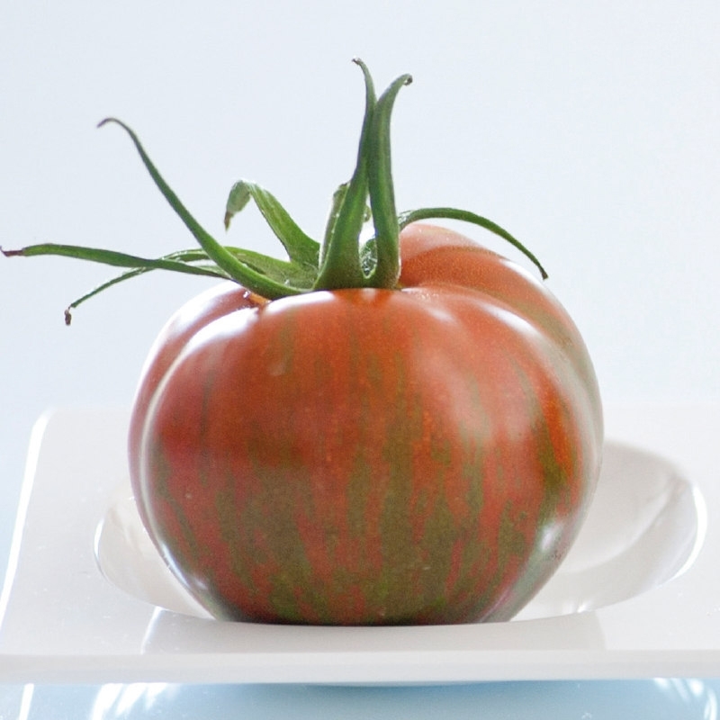 Sem. Tomate TIMENTA N-T (Gaut) spécialité ronde striée rouge vert (100/pqt)