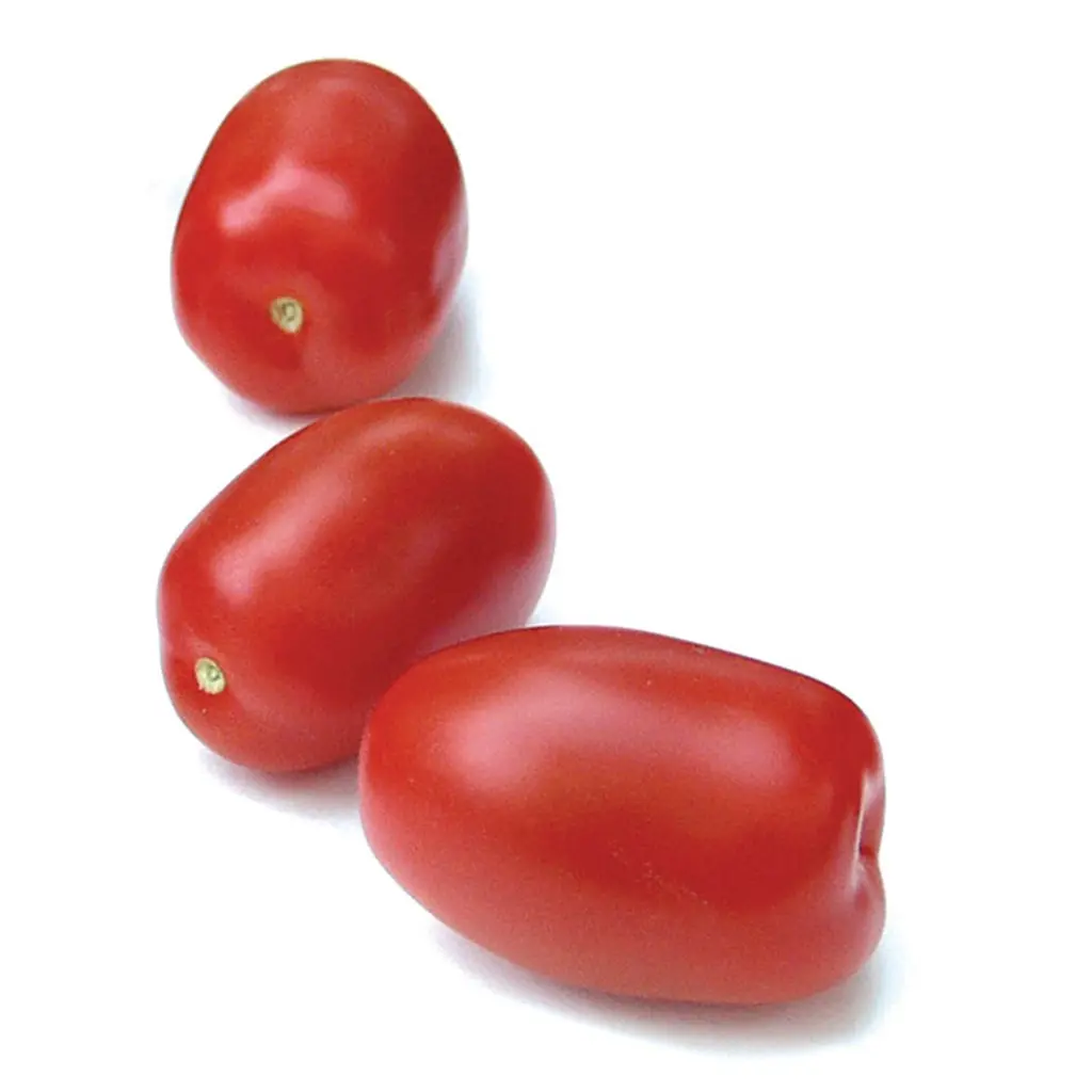 ​​Tomato RAVELLO untreated (VZ) grappe red