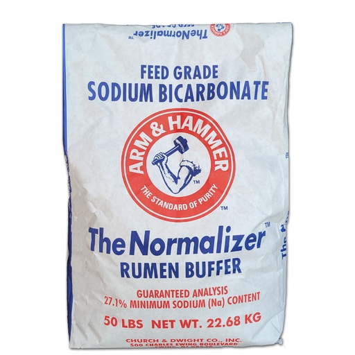 [100-130-011105] Bicarbonate de sodium (soude) - Arm&H