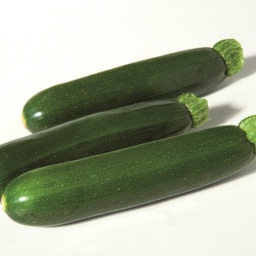 [110-110-141211-100] Sem. Courgette CELESTE N-T (Gaut) zucchini vert (100/pqt)