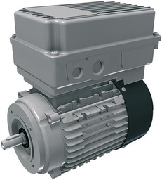 [160-120-153073] Replacement motor 1-phase 220/240V (0.25 kW/50Hz) (0.30kW/60Hz)  (5 wire, type E) RW243