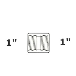 [190-110-004355] Acoplamiento gris 1 FPT x 1 FPT sch 40