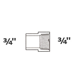 [190-110-005095] Adaptador gris 3/4 SP x 3/4 FPT sch 40