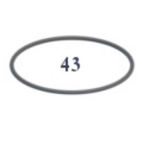 [160-140-064935] P. MixRite 2.5 Joint d'étanchéité du couvercle (38022430243 pièce #43) 