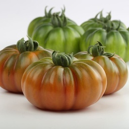 [110-110-011555-1000] ​​Tomato MARSALATO organic (Vit) red heirloom / marmande (1000/pk)