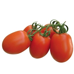 [110-110-012600-100] ​​​Tomato PAIPAI organic (Vit) plum red (100/pk)