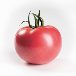 [110-110-213120-1000] Tomato ENROZA untreated (Enza) Beef pink (1000/pk)