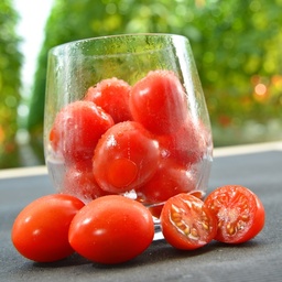 [110-110-101800-100] Tomato APETICIO untreated (Gaut) cherry red (100/pk)