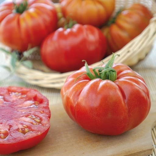 [110-110-102100-100] Tomato MARBONNE untreated (Gaut) marmande red