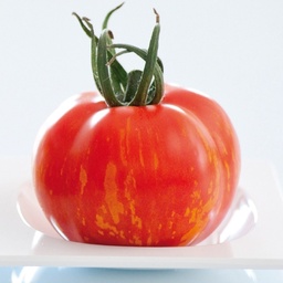 [110-110-102900-100] Sem. Tomate TIROUGE  N-T (Gaut) spécialité ronde striée rouge jaune (100/pqt)