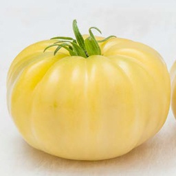 [110-110-103200-100] Sem. Tomate MARVORI ('DJ549') N-T (Gaut) marmande jaune pâle (100/pqt)