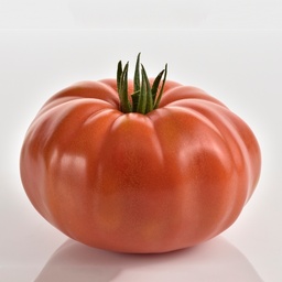 [110-110-104420-100] Sem. Tomate MARSILIA Bio (Gaut) marmande rouge  (100/pqt)