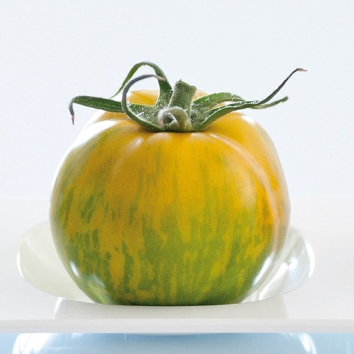 [110-110-104800-100] Tomato TIVERTA orgánico (Gaut) especialidad verde rayado amarillo 