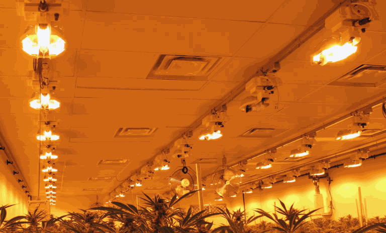 Odoo - Sample 3 for three columns