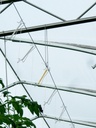 Prewound hook double 180mm IN STOCK, yellow twine, total: 15m, fall: 3m