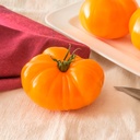 Tomato MARMANGO untreated (Gaut) marmande orange (100/pk)