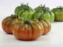 Sem. Tomate MARSALATO Bio (Vit) heirloom / marmande rouge