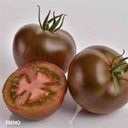 Sem. Tomate EBENO N-T (Gaut) noir chocolat