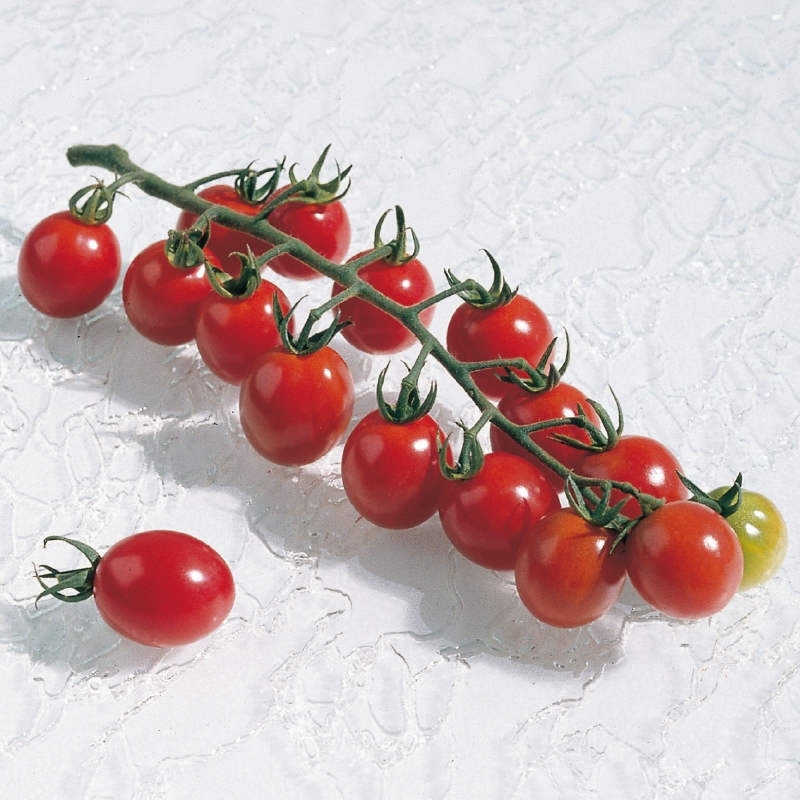 tomate-apero-non-traitee