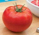 tomate-baptysta-b112-non-traitee