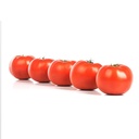 tomate-skyway-687-biologique
