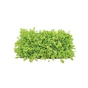 oasis-lc-1-horticubes-5225-1-medium