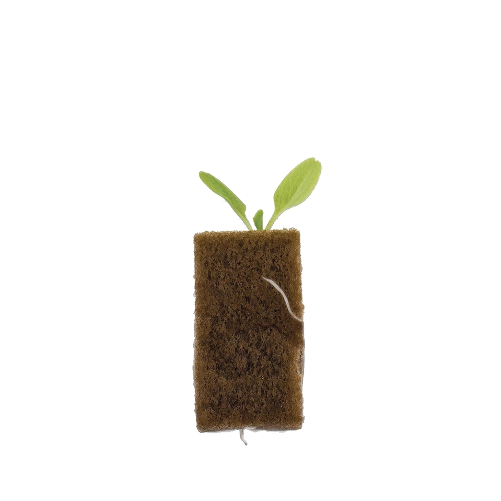 Oasis Horticubes - Thumbnail 3