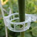 Clips à tomate 23mm transparentes (11 000/cs)