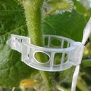 Clips à tomate 23mm transparentes (11 000/cs)