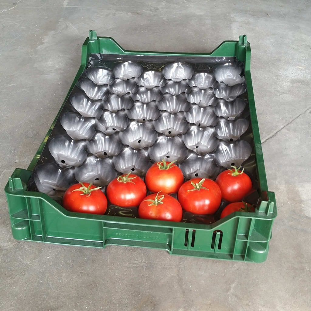 Boîte de plastique 24" x 16" pour tomates (15 lb)