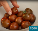 Tomato MACARON (C608) untreated (Gaut) chocolate color cherry (100/pk)