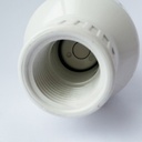 2" FPT swing check valve white pvc