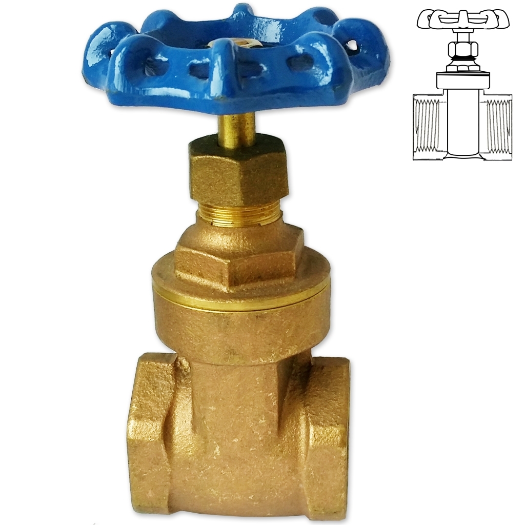 Brass 1 1/4" FPT gate valve